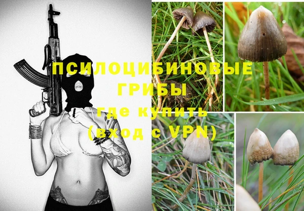 ECSTASY Беломорск