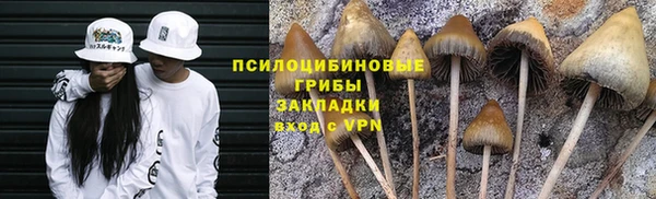 кокаин перу Белокуриха