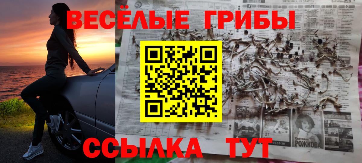 Псилоцибиновые грибы прущие грибы  Вход с VPN  Борисоглебск 