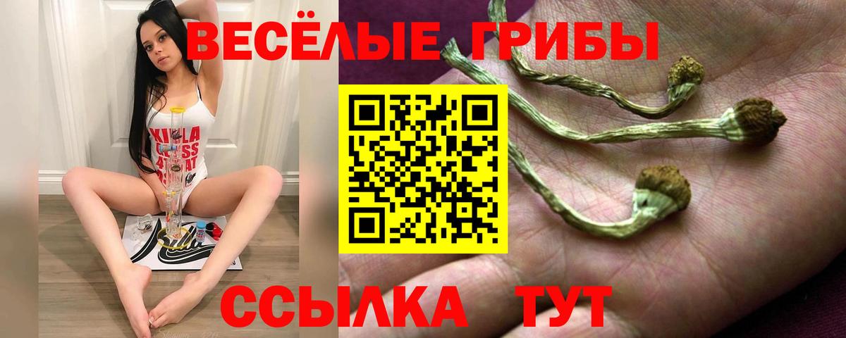 Галлюциногенные грибы Magic Shrooms Борисоглебск
